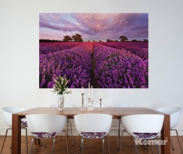 Фотообои 1-615 Lavendel, Komar